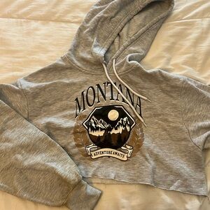 Refuge Gray Cropped Hoodie